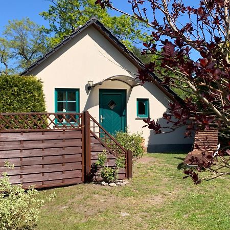 „Rentmeisterhaus Basedow“ Basedow  Eksteriør bilde