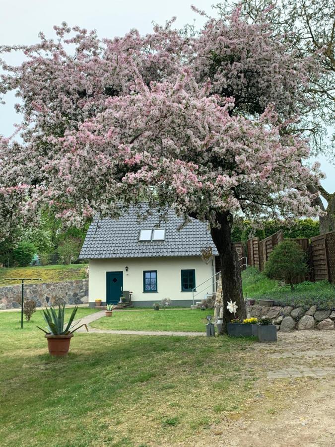 „Rentmeisterhaus Basedow“ Basedow  Eksteriør bilde
